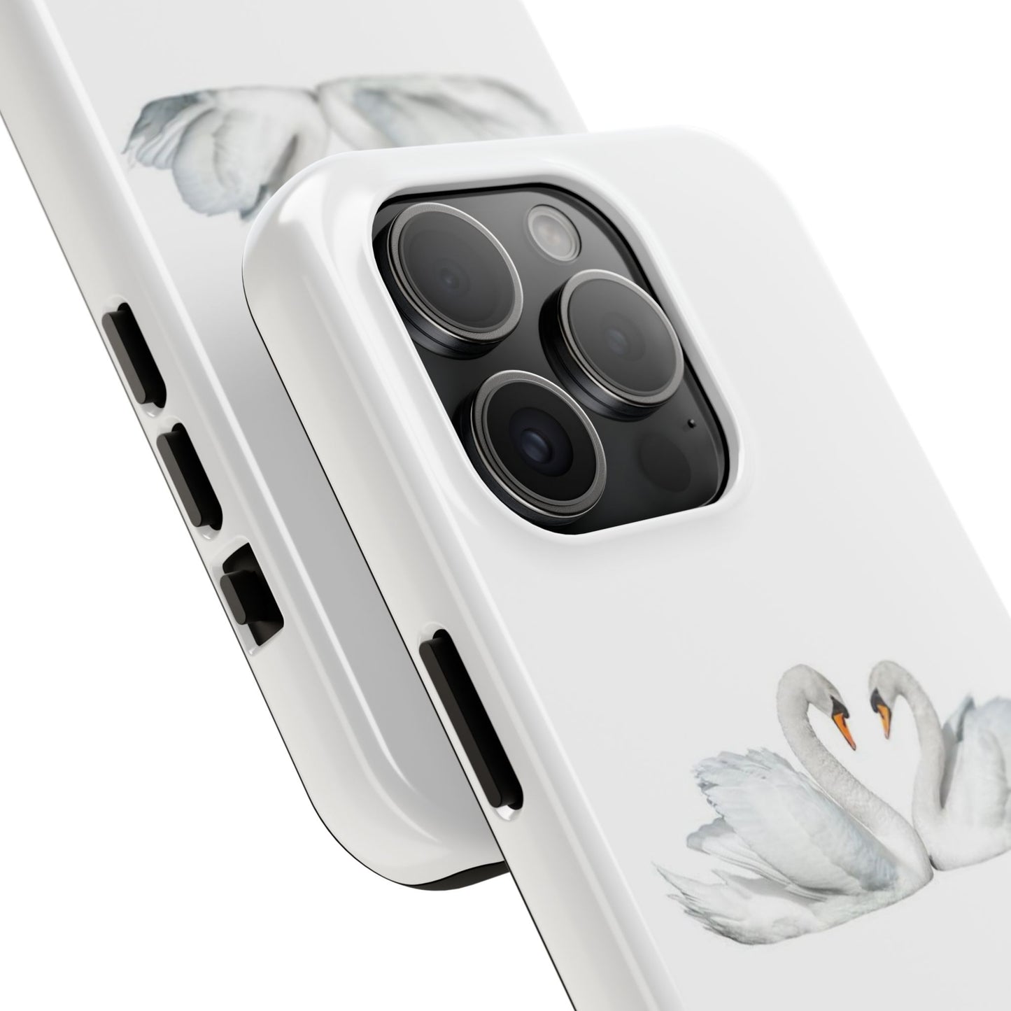 swan love case